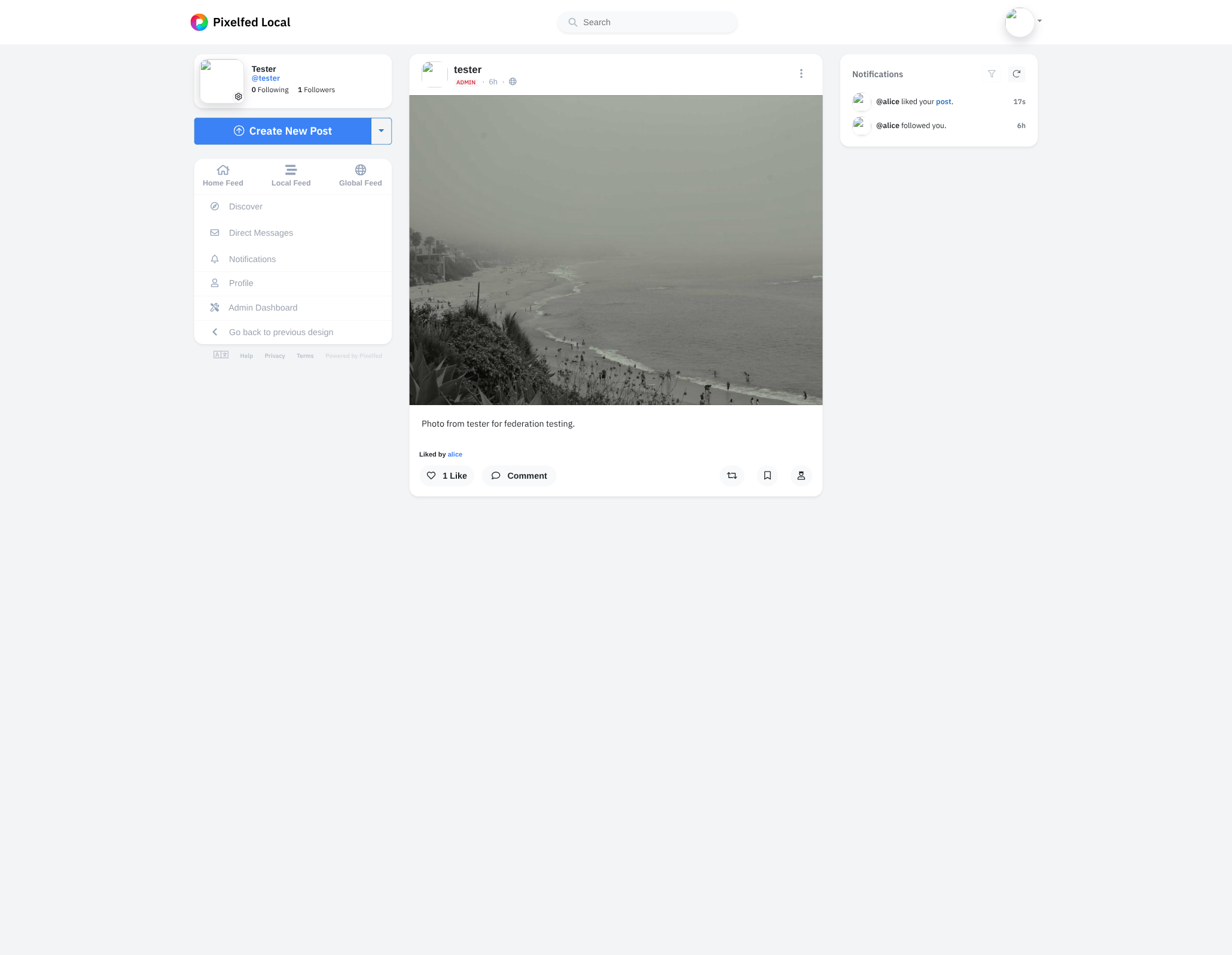 Pixelfed's post detail page for tester's beach photo,
showing a “Liked by alice” line, a “1 Like” counter, and a
right-column notification saying “alice liked your
post”.